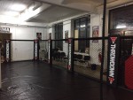 MMA Cage Walls